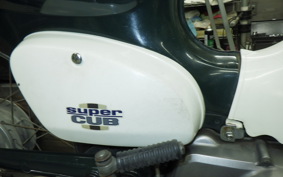 HONDA C50 SUPER CUB 2024 C50