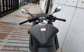 SUZUKI JIKUSA-SF250 ED22B