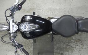 YAMAHA DRAGSTAR 250 2019 VG02J