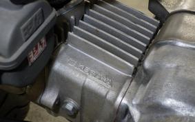 HONDA MONKEY 2020 Z50J