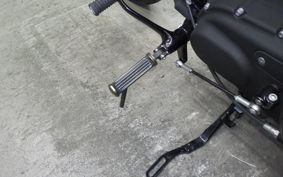 HARLEY XL1200NS 2020