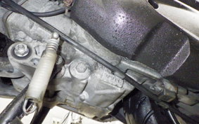 HONDA LEAD 110 JF19