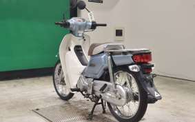 HONDA C110 SUPER CUB 2010 JA10
