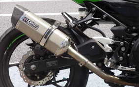 KAWASAKI NINJA 250 EX250P