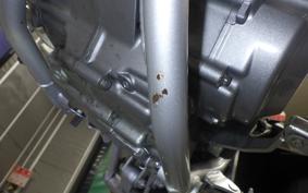 HONDA CRF250L 2007 MD47
