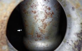 KAWASAKI Z250 Limited 2022 KZ250H