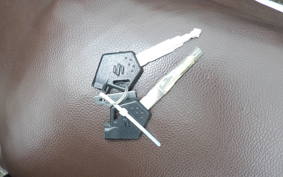 SUZUKI ADDRESS 110 CE47A