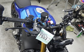 YAMAHA XSR900 2024 RN80J