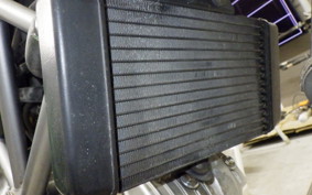 HONDA VTR 250 2024 MC33