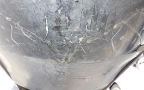 OTHER +UNREGISTERED MODEL by BDS TRIKE 2025