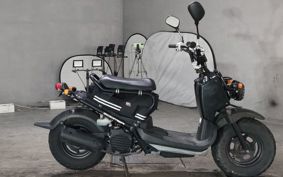 HONDA ZUMAR AF58
