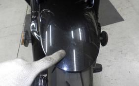 KAWASAKI Z1000 Gen.5 2017