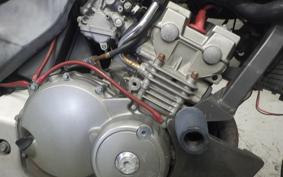 HONDA HORNET 250 2005 MC31