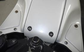 YAMAHA FZ250 1HX