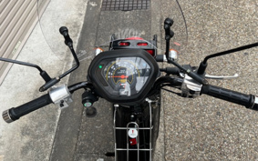 HONDA  CROSS  CUB 50KUMAMONVER AA06