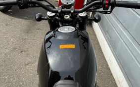 HARLEY X500 2023 W5B