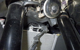 YAMAHA YZF R-3 2024 RH21J