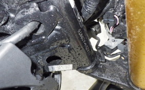 KAWASAKI Z125 PRO 2021 BR125H