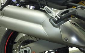 DUCATI MONSTER 821 2015