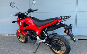 HONDA GROM JC61