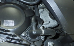 HONDA FORZA 250 2022 MF13