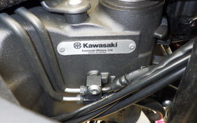 KAWASAKI NINJA 1000SX 2024 ZXT02K