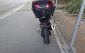KAWASAKI NINJA 250 EX250P