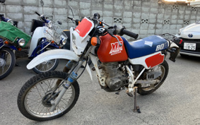HONDA XLR80R HD10