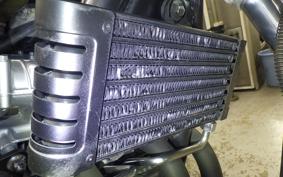 KAWASAKI ZEPHYR 750 2026 ZR750C