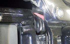 HARLEY FLSB 1750 2019