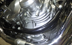 KAWASAKI Z1000 2026 Z1F