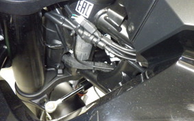 HUSQVARNA NORDEN901 2023