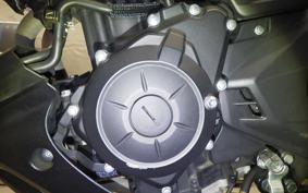 YAMAHA MT-25 A 2010 RG43J
