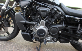 HARLEY RH975 NIGHT STAR 2022 ZH1