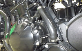 TRIUMPH SPEED TRIPLE 2011