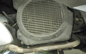HONDA LEAD 110 2024 JF19