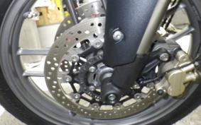 TRIUMPH TIGER 800 2014