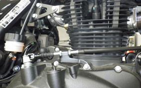 OTHER +ENFIELD ｽｸﾗﾑ411 2024