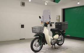 HONDA LITTLE CUB E AA01