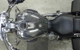 HARLEY FLSTFI1920 2025