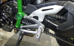 KAWASAKI NINJA H2 CARBON 2019 ZXT02J