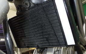 HONDA VTR 250 2023 MC33