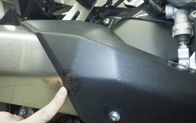 KAWASAKI NINJA 1000 SX 2023 ZXT02K