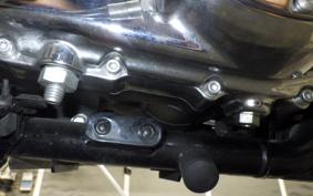HARLEY XL1200XS 2018