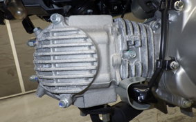 HONDA ｸﾛｽｶﾌﾞ50 2025 AA06