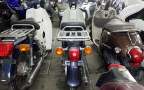 HONDA C50 SUPER CUB AA01