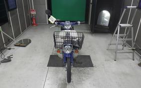HONDA C50 SUPER CUB 2009 AA01