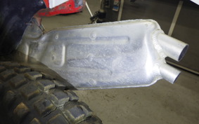 HONDA RTL250S 2009 RTL250SF