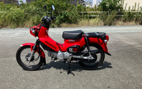 HONDA CROSS CUB JA45