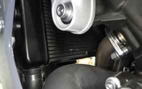 YAMAHA XSR900 GP 2024 RN96J